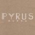 Pyrus 